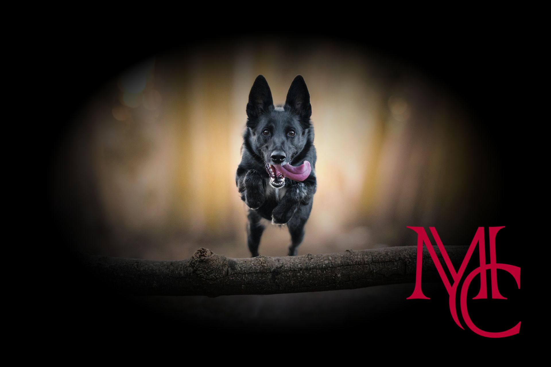 Mason Capital Group Real Estate Investment & Trust – Bentonville - Arkansas