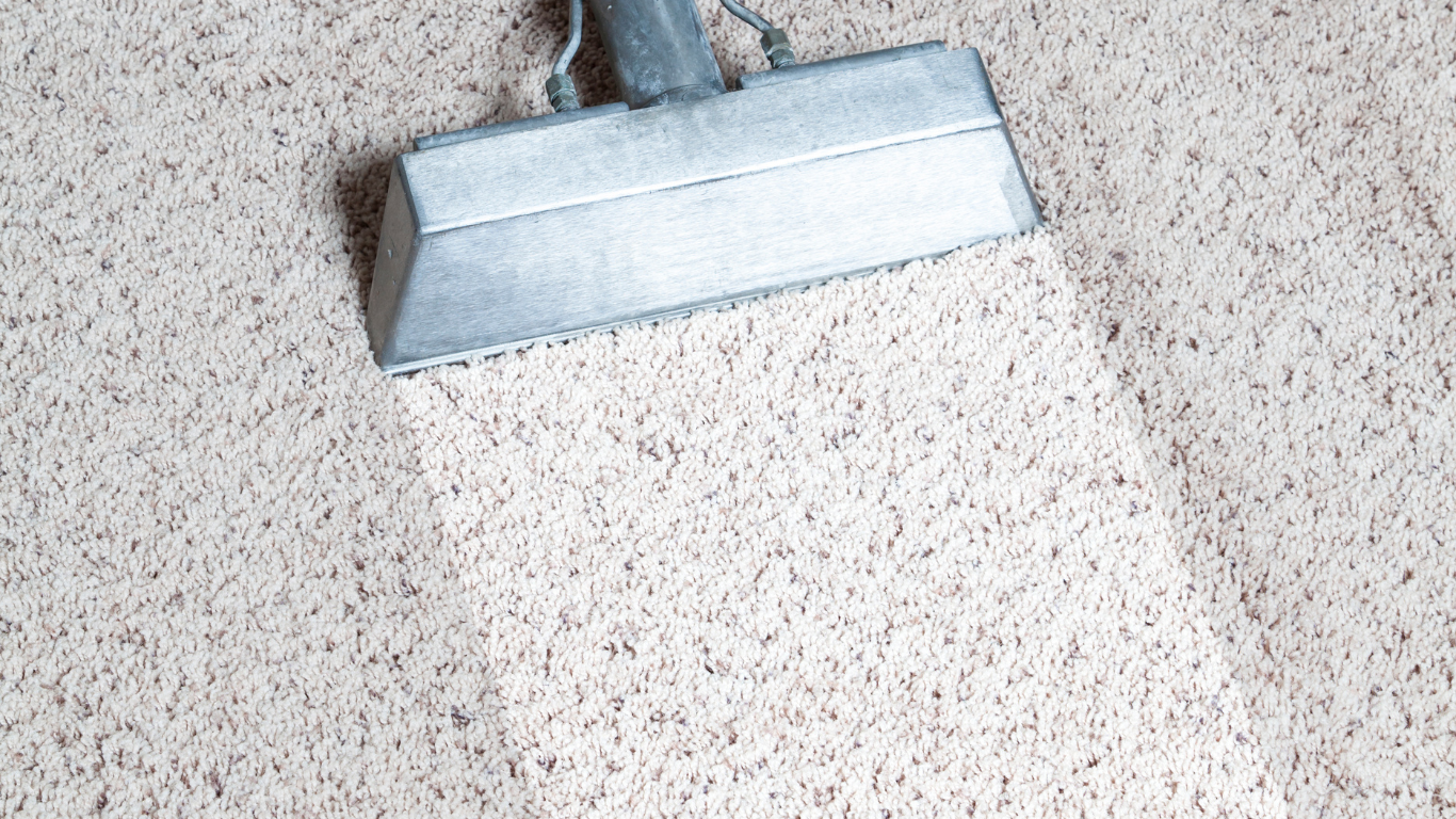 CARPET CLEANING