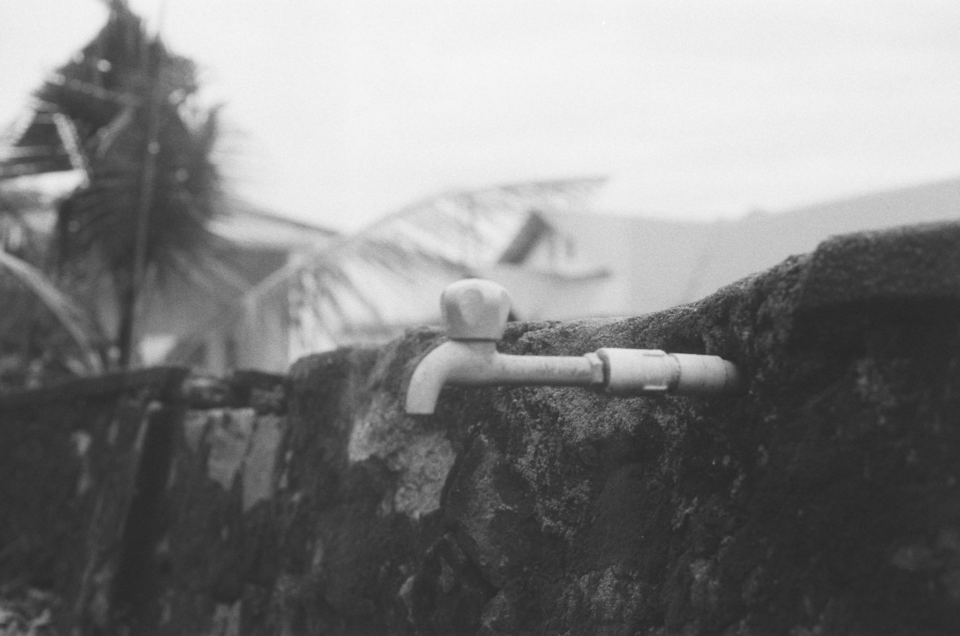 Une photo en noir et blanc d'un robinet sur un mur de pierre.