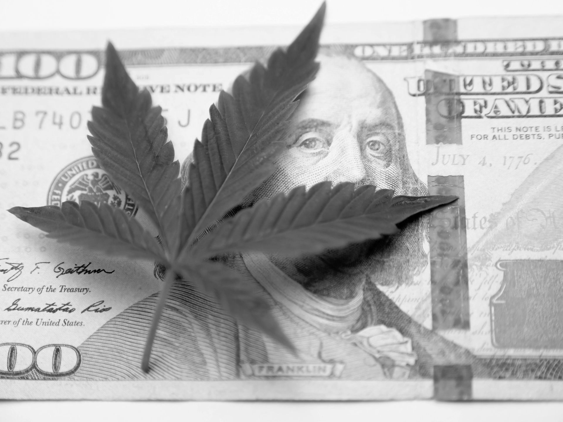 A black-and-white image featuring a marijuana leaf resting on top of a United States one hundred dollar bill.