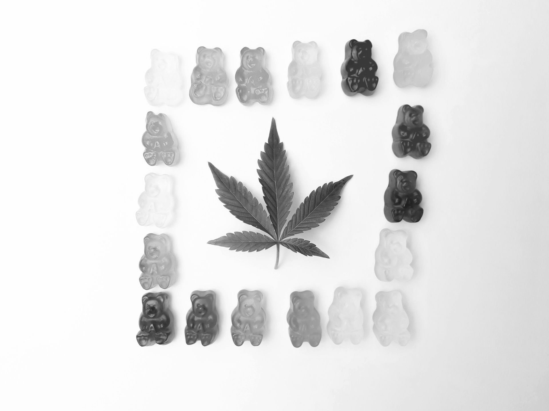 A cannabis leaf surrounded by a square border of gummy bears on a white background.
