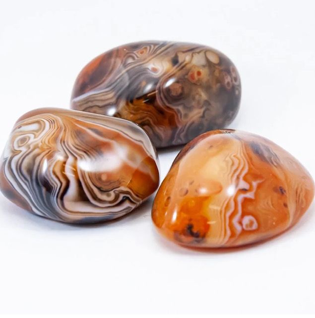 Three brown and white stones on a white surface
