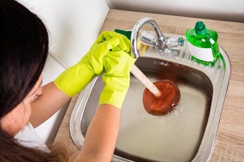 Person Using Plunger In The Sink