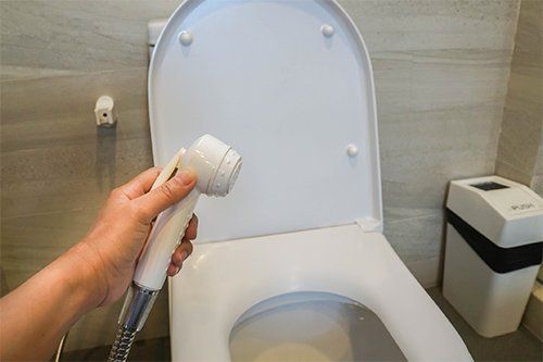 A Person Holding Bidet Sprayer