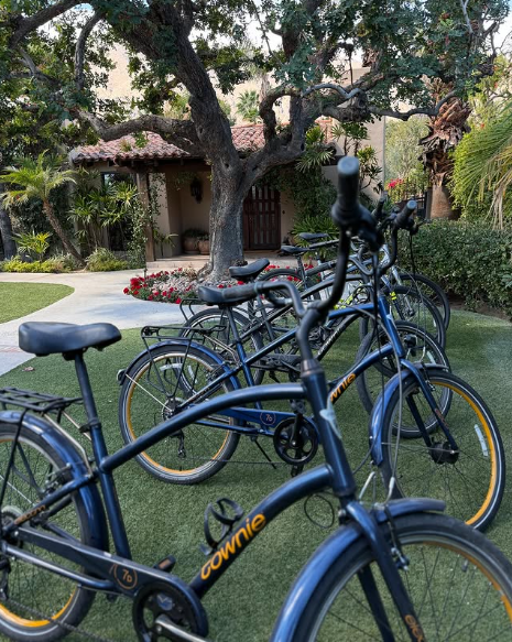 Blue bicycles parked on a lawn in front of a building with a tiled roof.