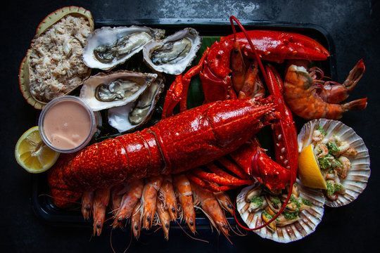 A plate of seafood including lobsters , shrimp , oysters and scallops.