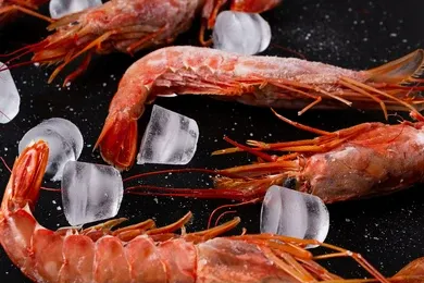 Three shrimp are sitting on top of ice cubes on a black surface.