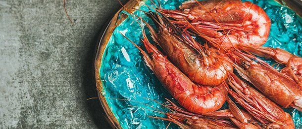 A plate of shrimp on ice on a blue plate.
