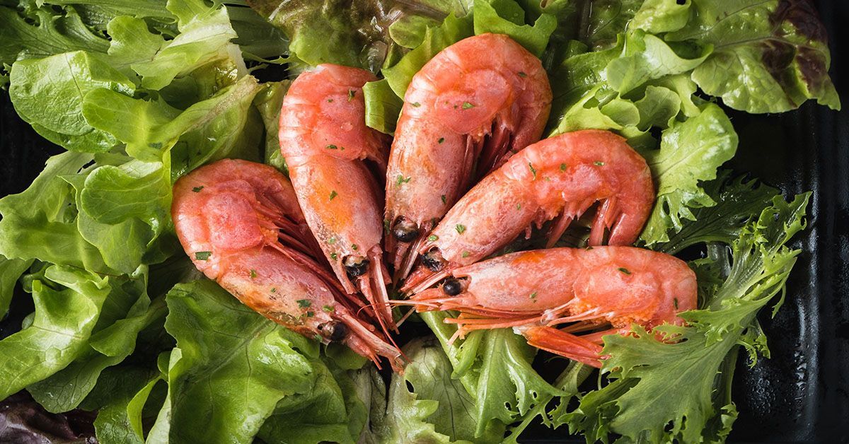 A bunch of shrimp sitting on top of a bed of lettuce.