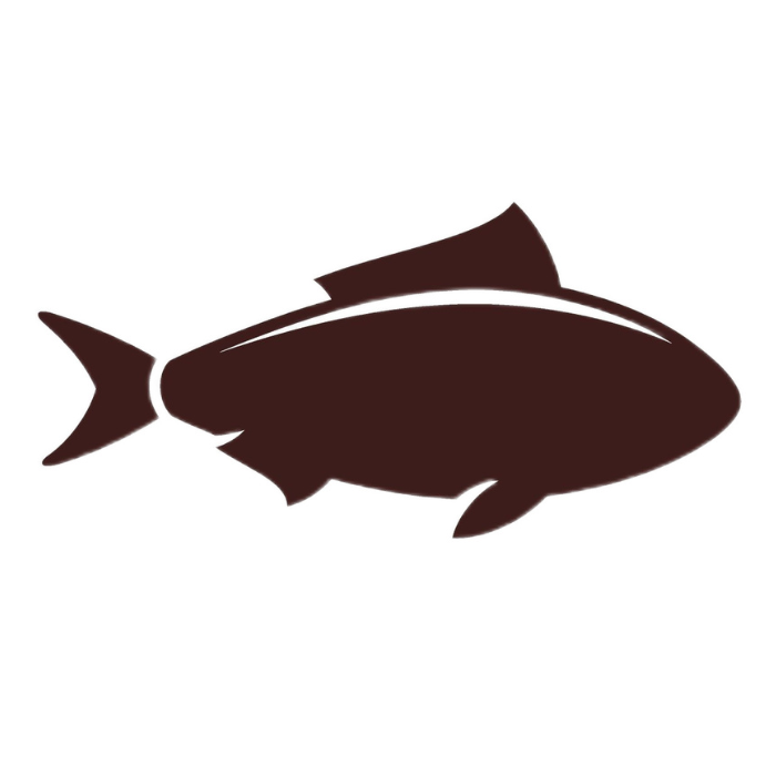 A silhouette of a fish on a white background.