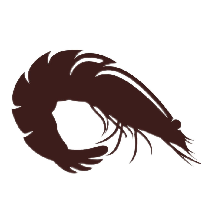 A silhouette of a shrimp on a white background.