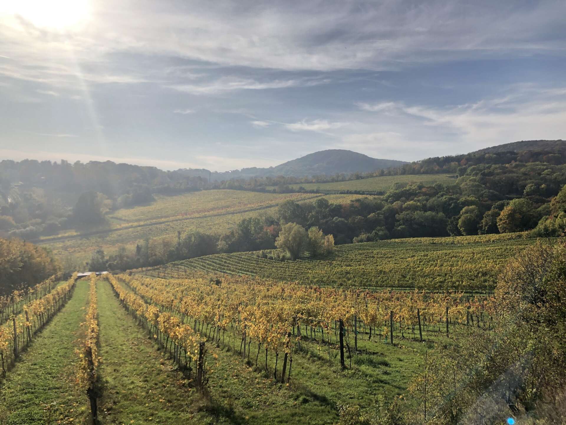 Installateur DER HEIZMANN - Installateur Notdienst in 1190 Wien