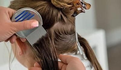 Non-Toxic Lice Treatment