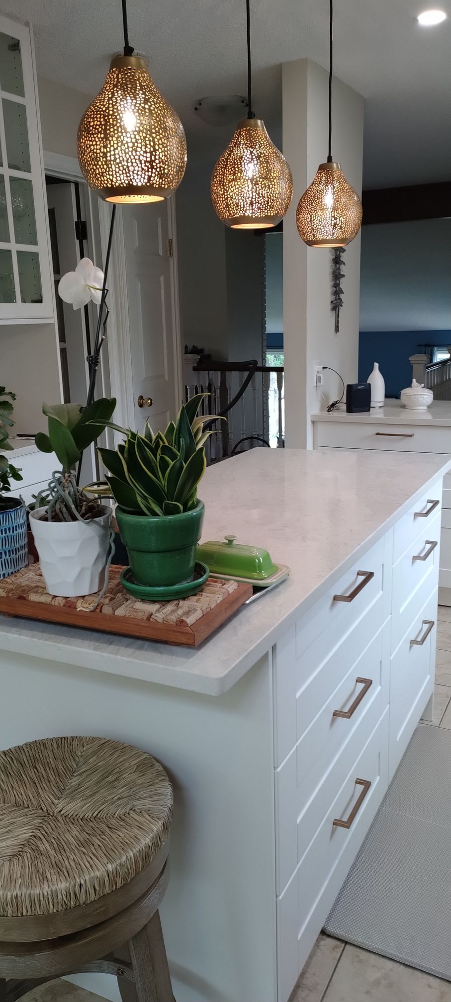 A kitchen with a large island and potted plants on the counter.