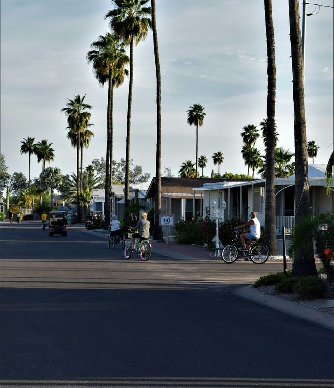 Palm-lined street with cyclists and pedestrians in a residential neighborhood at dusk