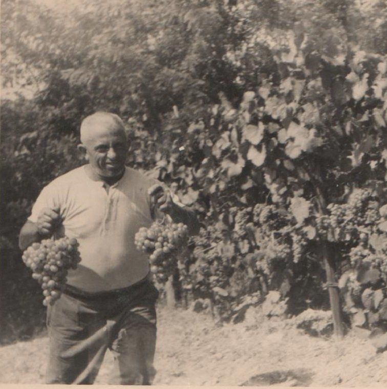 Immagini antiche terra felice