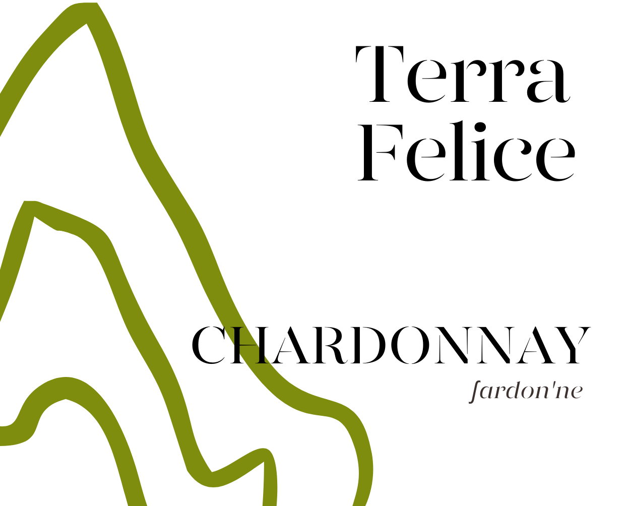 chardonnay 2020 etichetta retro