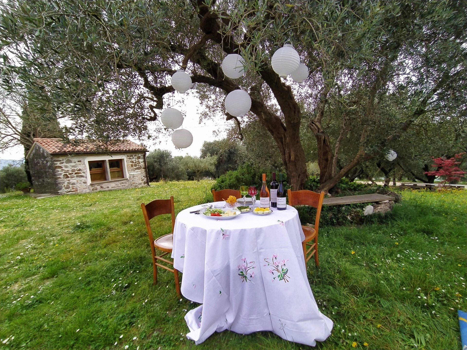 Notizie ed eventi