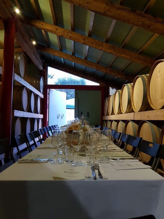 Weinverkostungskeller mit Fässern