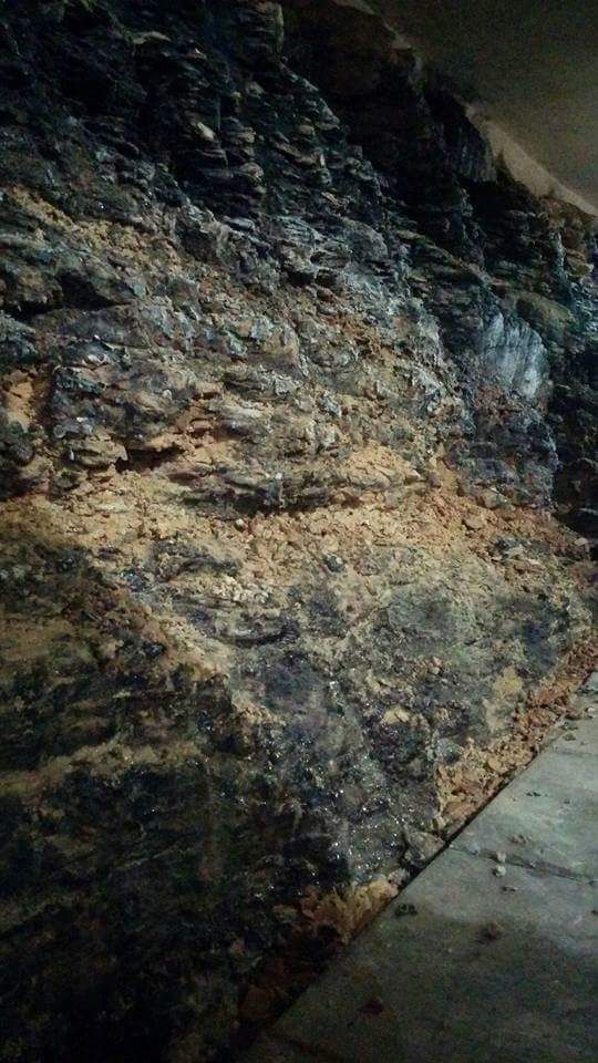 Weinverkostung Weinkeller Terra Felice 1