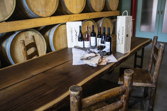 Weinverkostungskeller mit Fässern und Flaschen