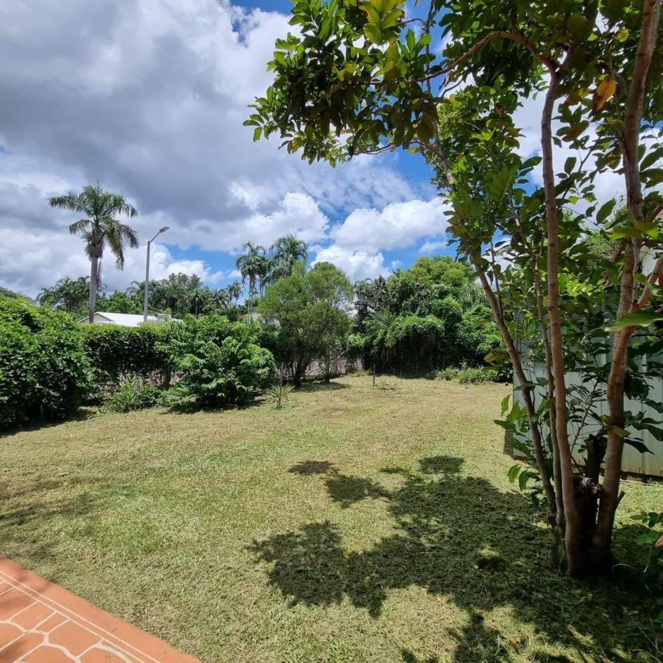 A Large Lush Green Yard With Trees And Bushes On A Sunny Day — City 2 Bush Mowing Services Darwin In Howard Springs, NT