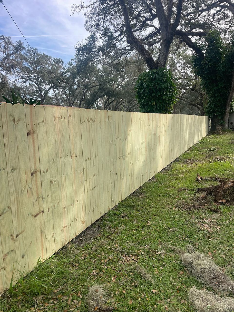 Well Grounded Fencing 14