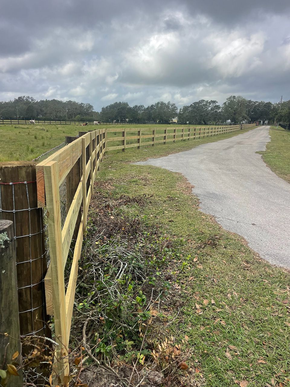 Well Grounded Fencing 18