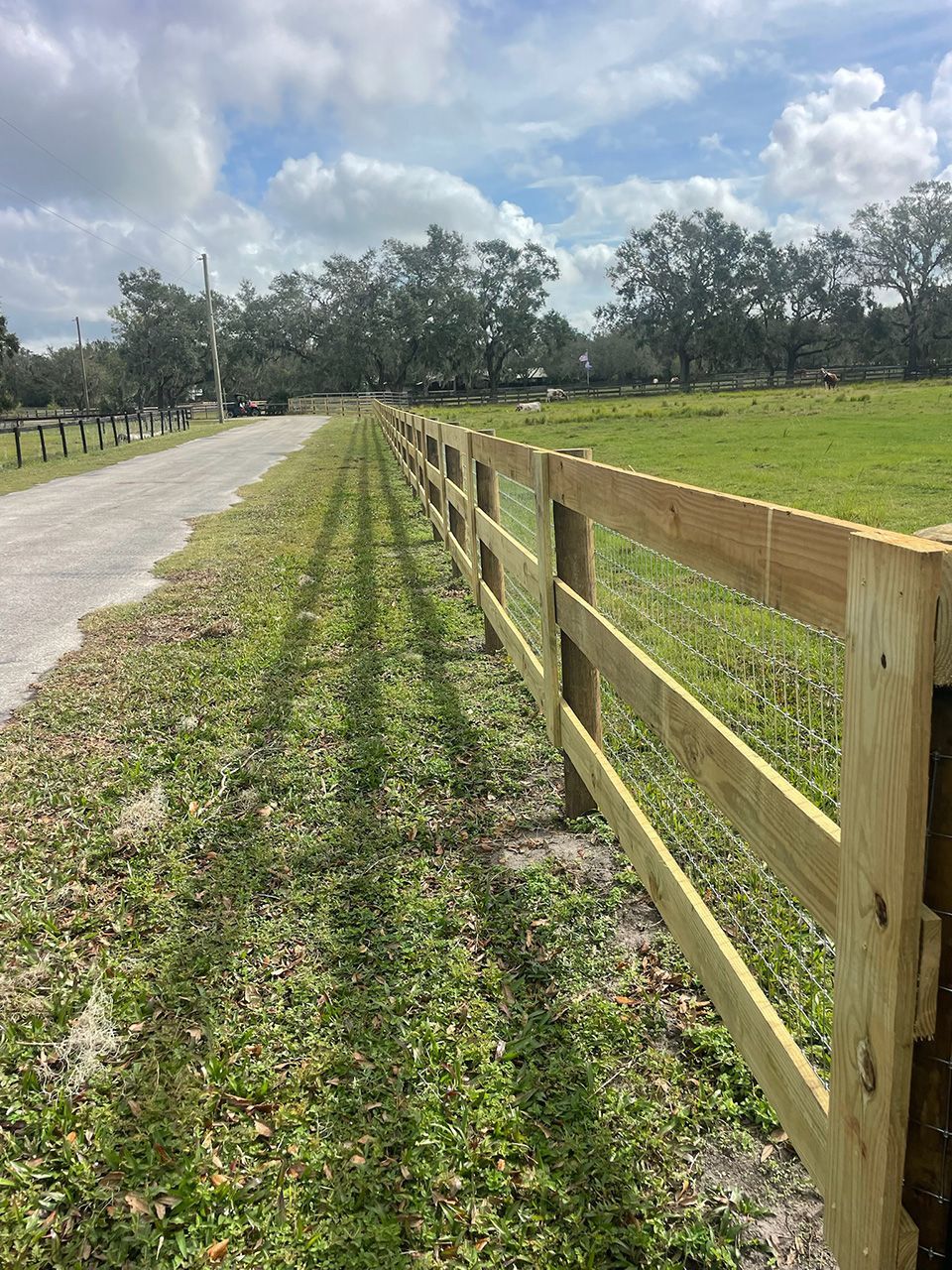 Well Grounded Fencing 20
