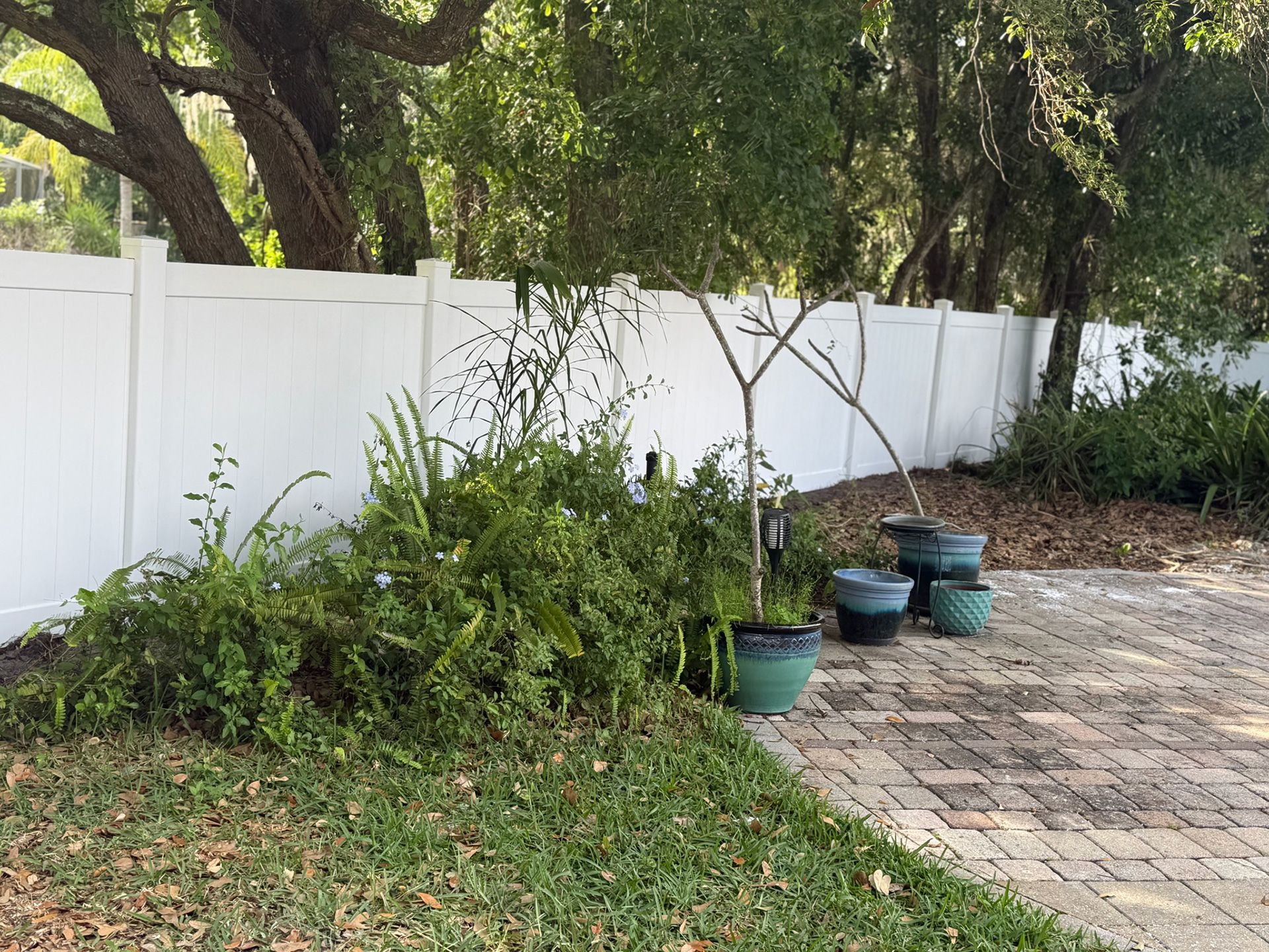 Well Grounded Fencing 6