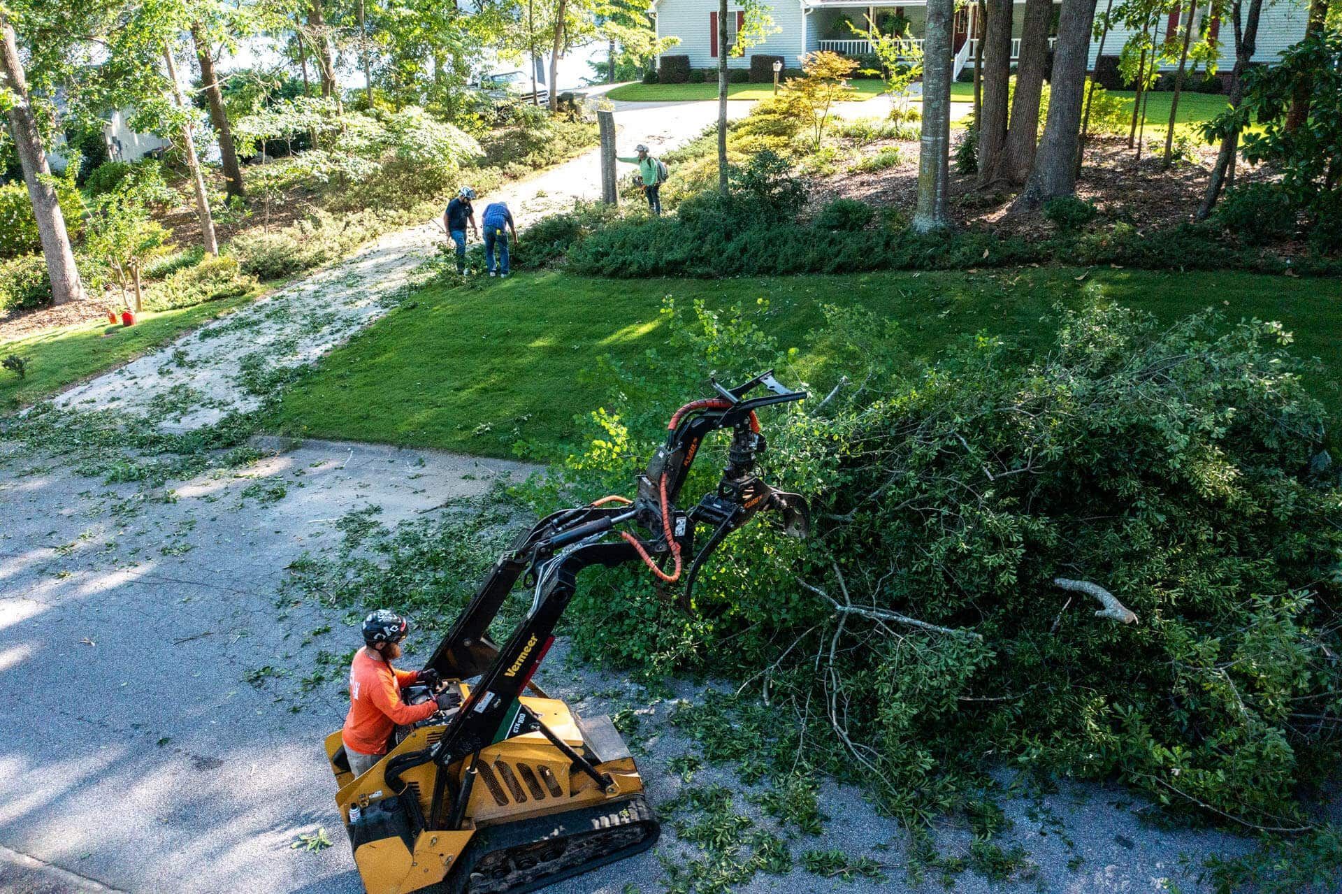 If a Neighbor’s Tree Falls on my Property, Who is Responsible for Removal?