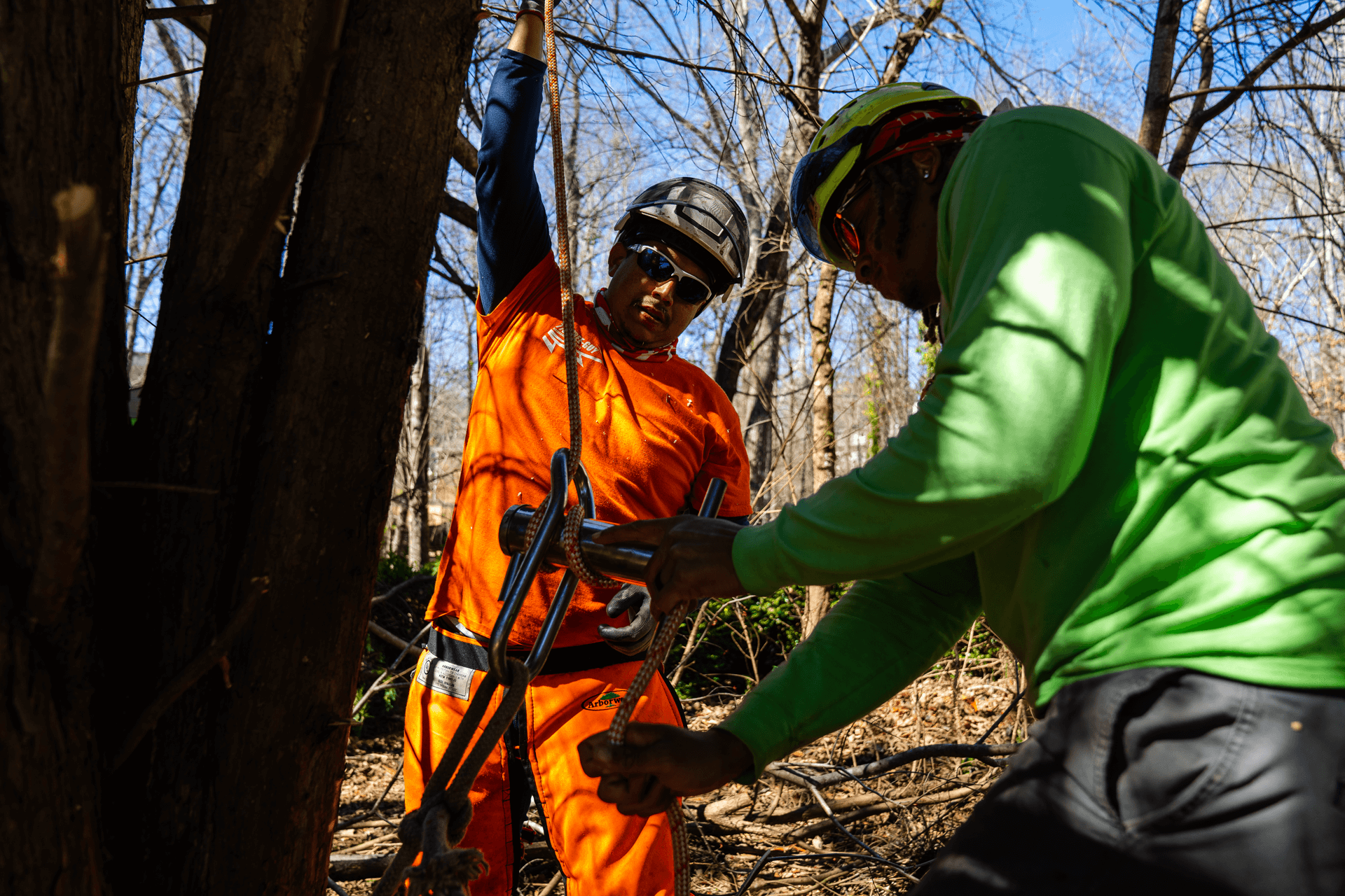 Looking for top-notch tree care services? Discover how to find the best arborist near you.