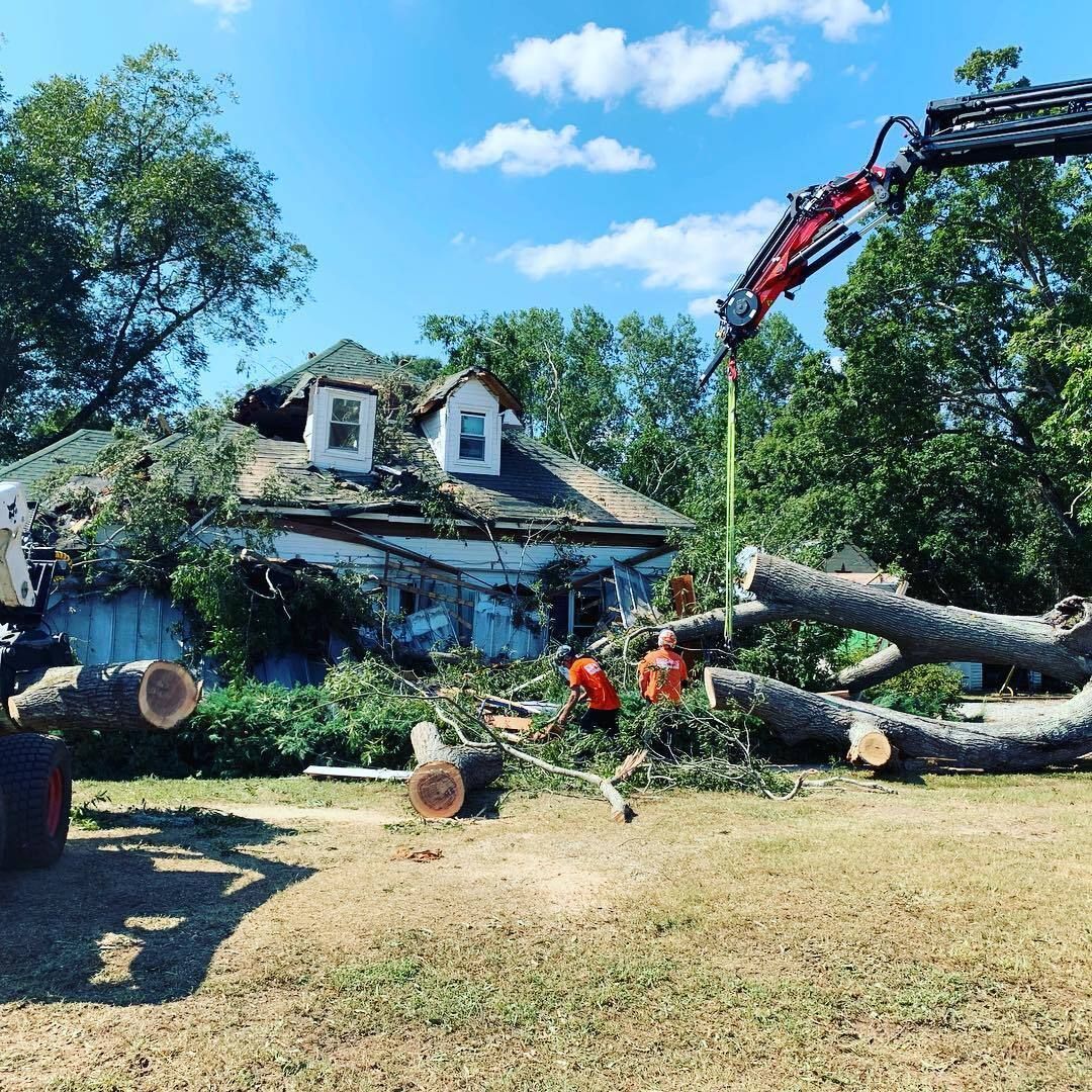 a crane is lifting a large tree in front of a house