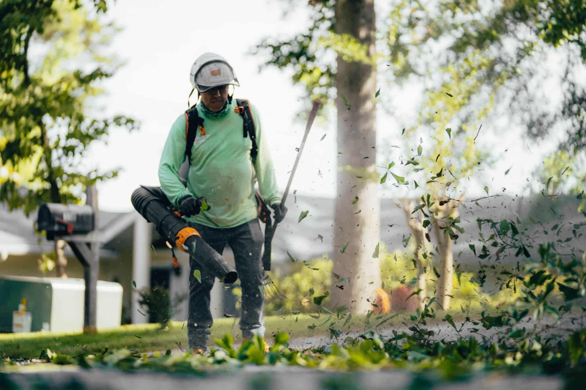 What to Do After Tree Removal?