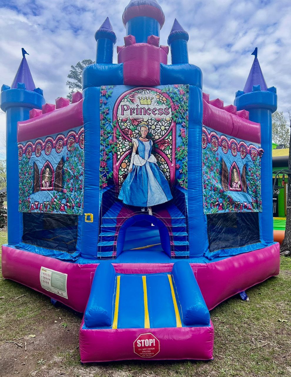 A blue and pink bouncy house with a princess on it.
