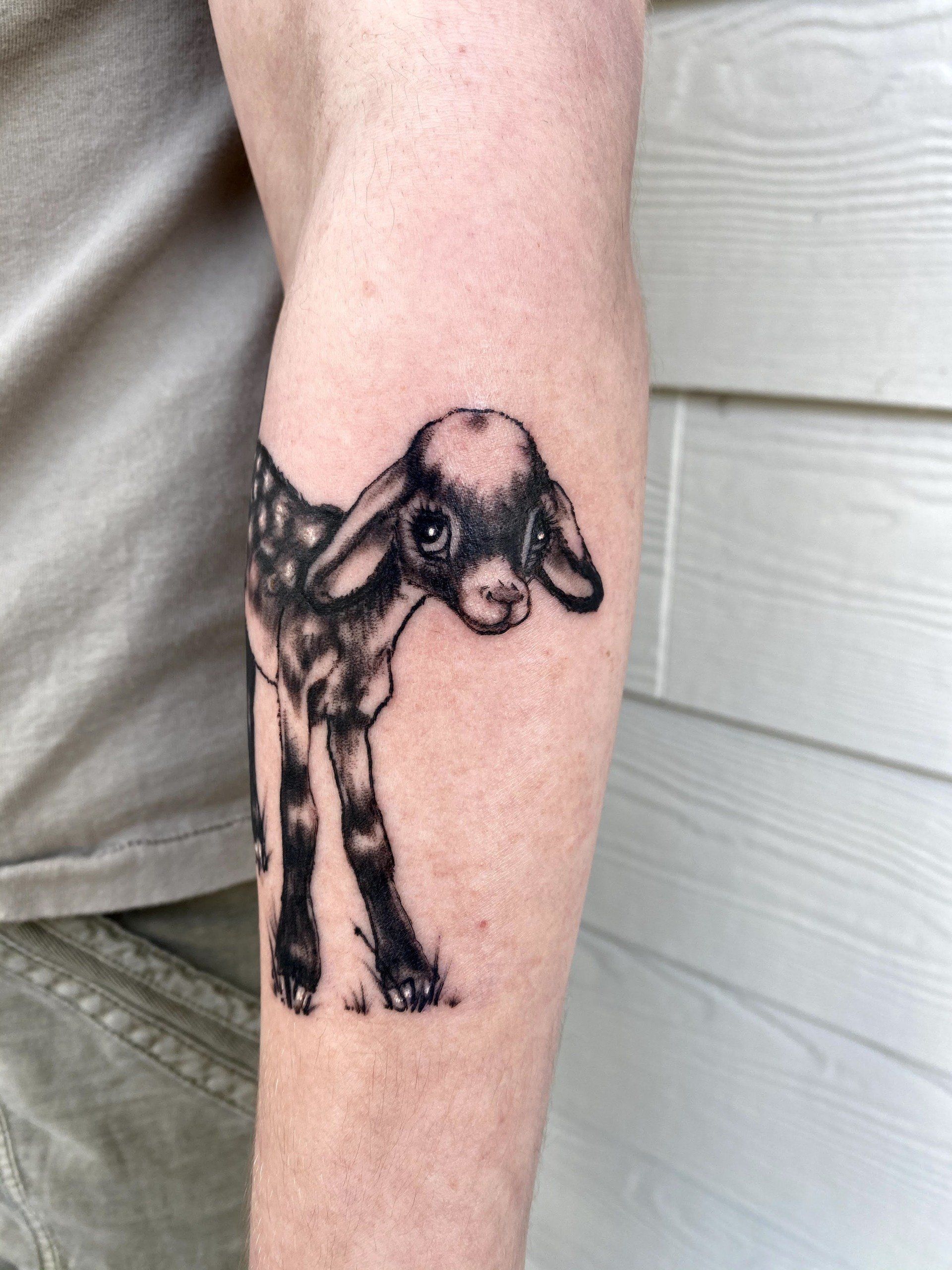 A person has a tattoo of a baby goat on their arm