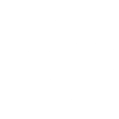 Dental Cleaning Icon