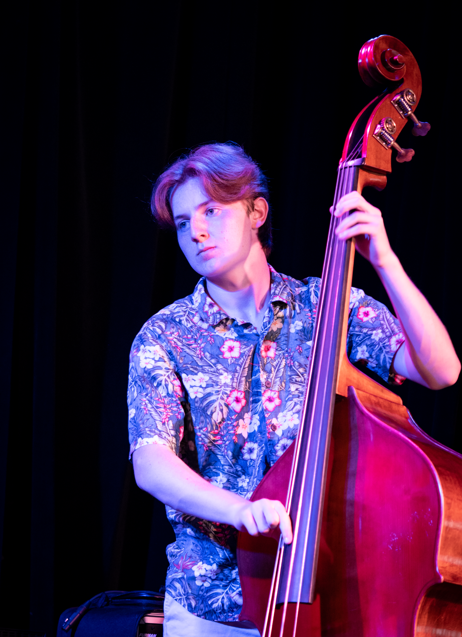 A person in a floral shirt plays an upright bass, illuminated by blue and pink stage lighting against a black background.