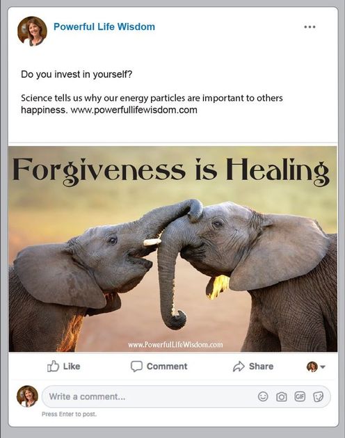 Two elephants are touching each other 's noses on a facebook post created by HJ Design, Inc. 816-415-3777 www.hjdesign.net