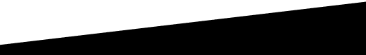 Government website development