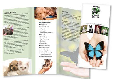 Brochure Design and Printing KC