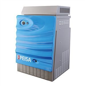 Peisa AG