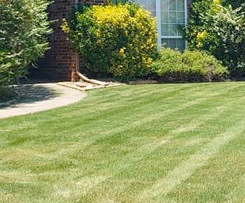 A lush green lawn in front of a brick house.