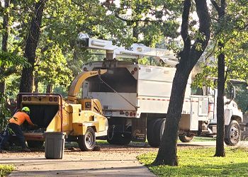 A man is working on a tree chipper in a park.