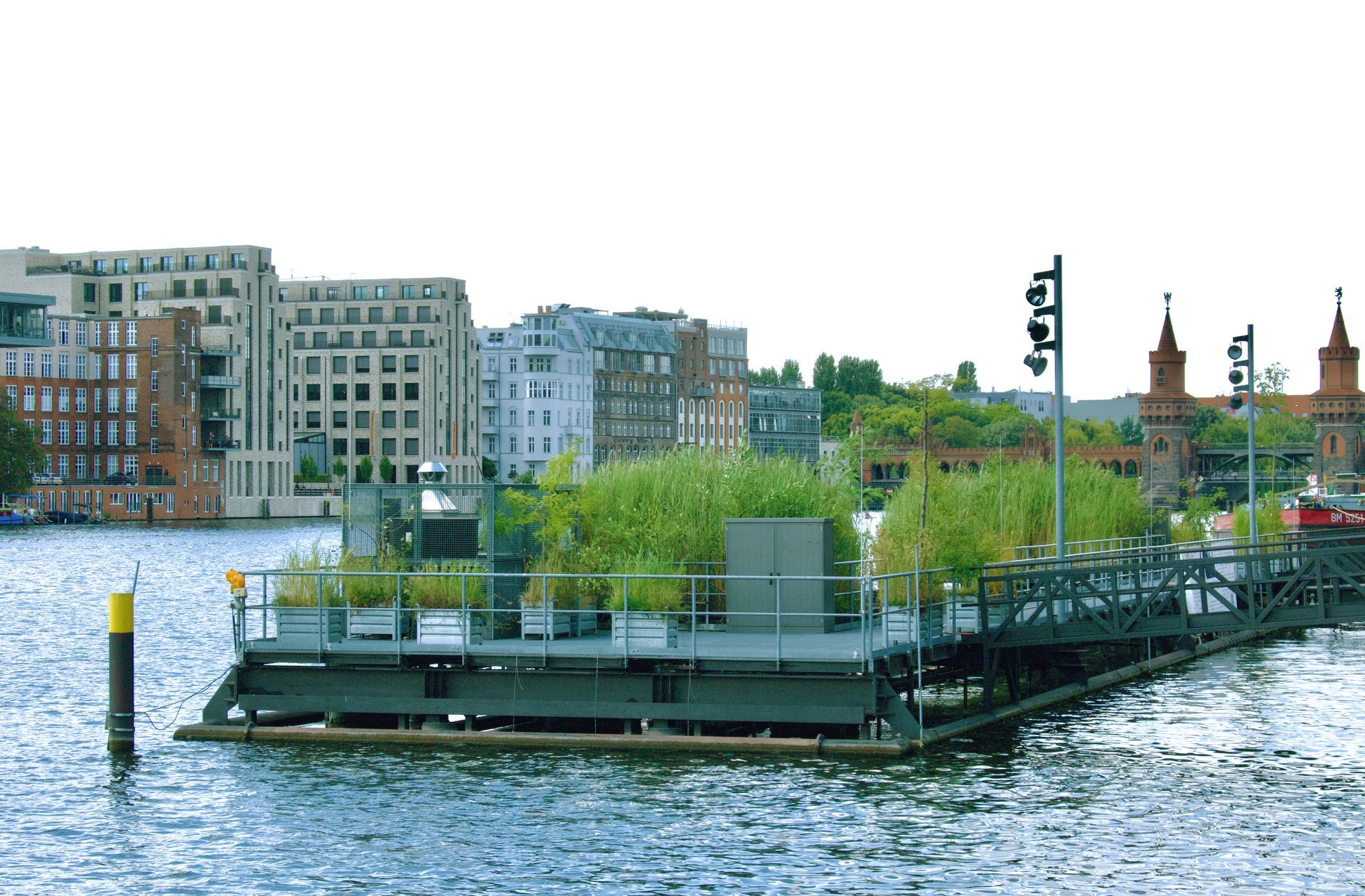 Das Regenüberlaufbecken 2011 mit seiner Bepflanzung aus Schilf und Bäumen der Weichholzaue im Berliner Osthafen.