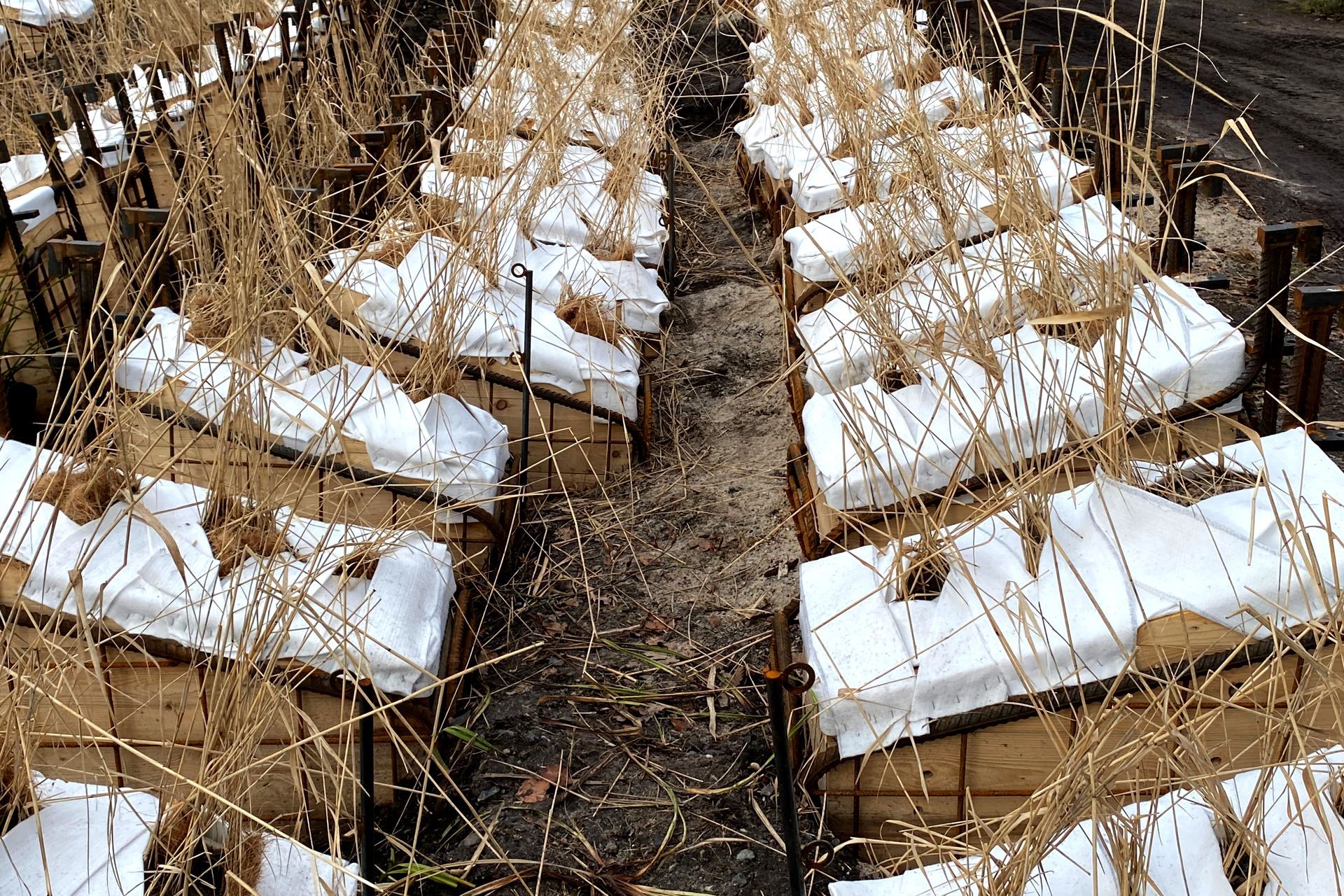 Bepflanzte Module der Vertikal Wetlands in einer Gärtnerei im Winter, vorbereitet, um im Gewässer installiert zu werden. 