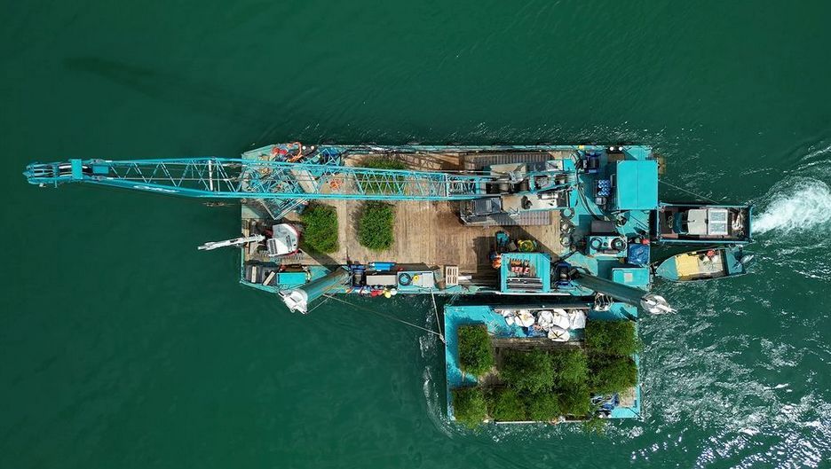 Eine Luftaufnahme von einem Kranschiff von oben. Auf dem Schiff selbst und auf einem Nebenponton sind große bepflanzte Rechtecke zu sehen.