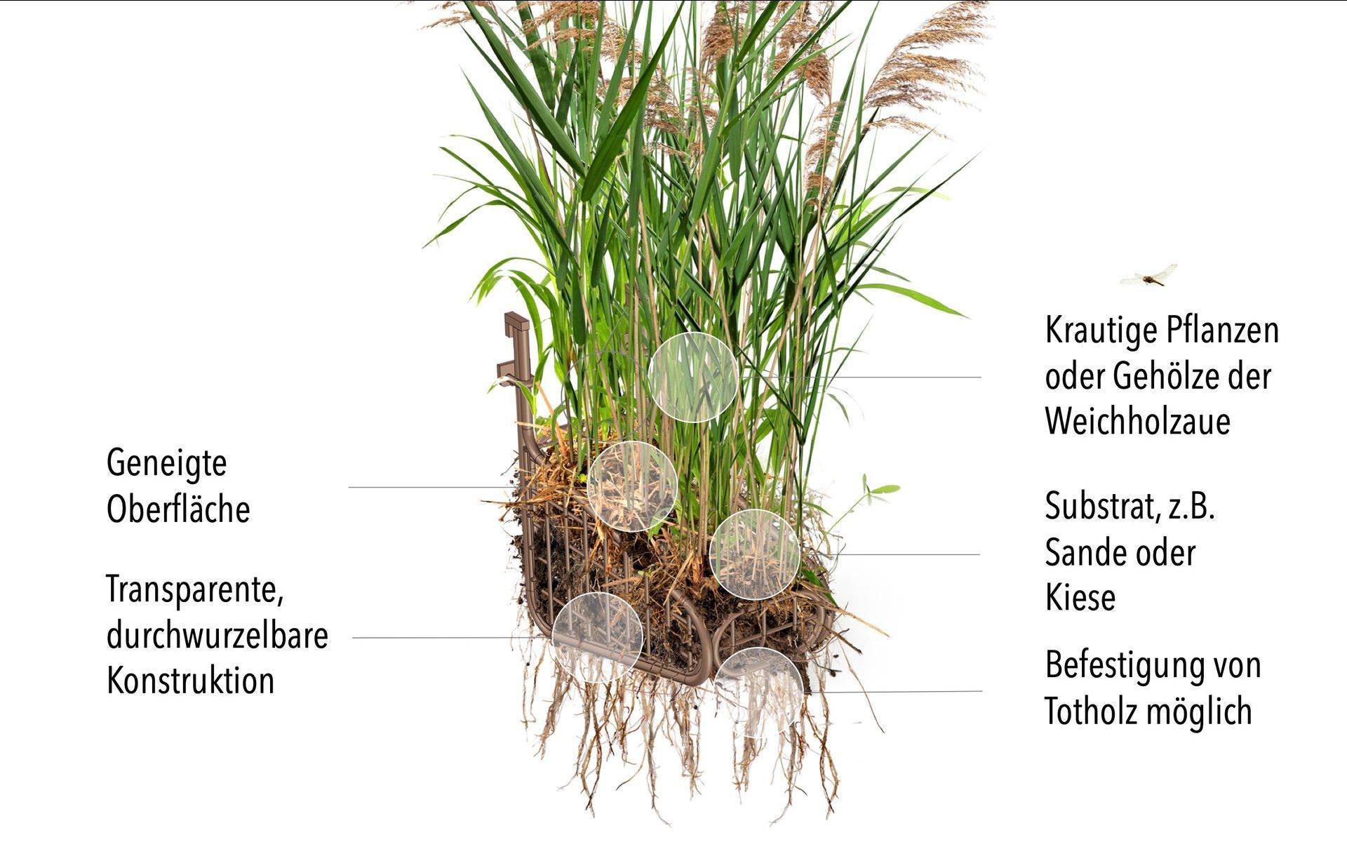 Skizze zum Aufbau eines Vertikal Wetlands Moduls. 