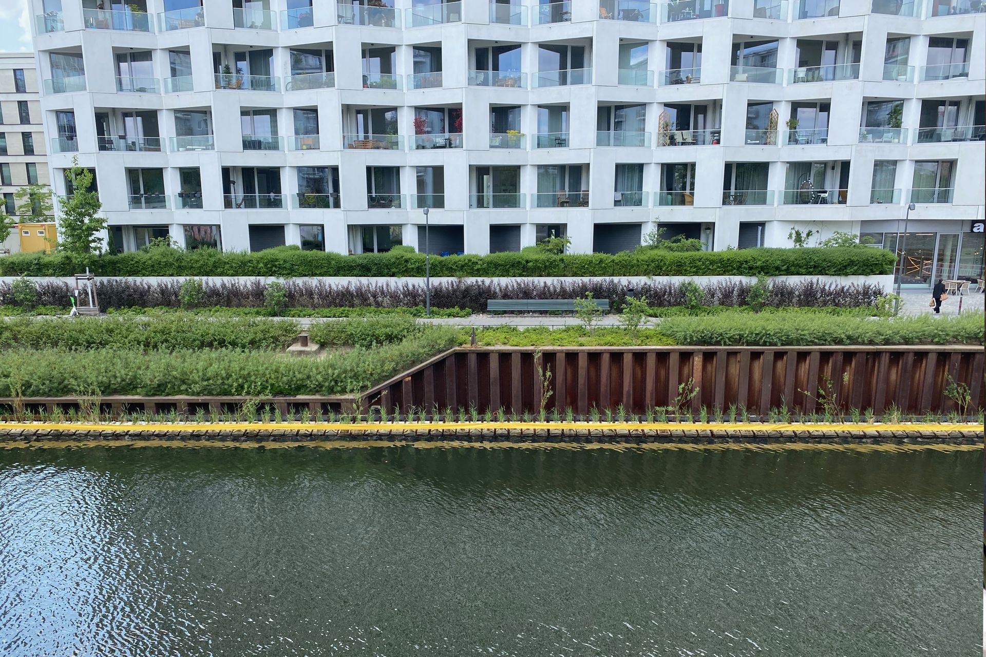 Das Schilf der Vertikal Wetlands nach der Installation im Spandauer Schifffahrtskanal beginnt zu wachsen.