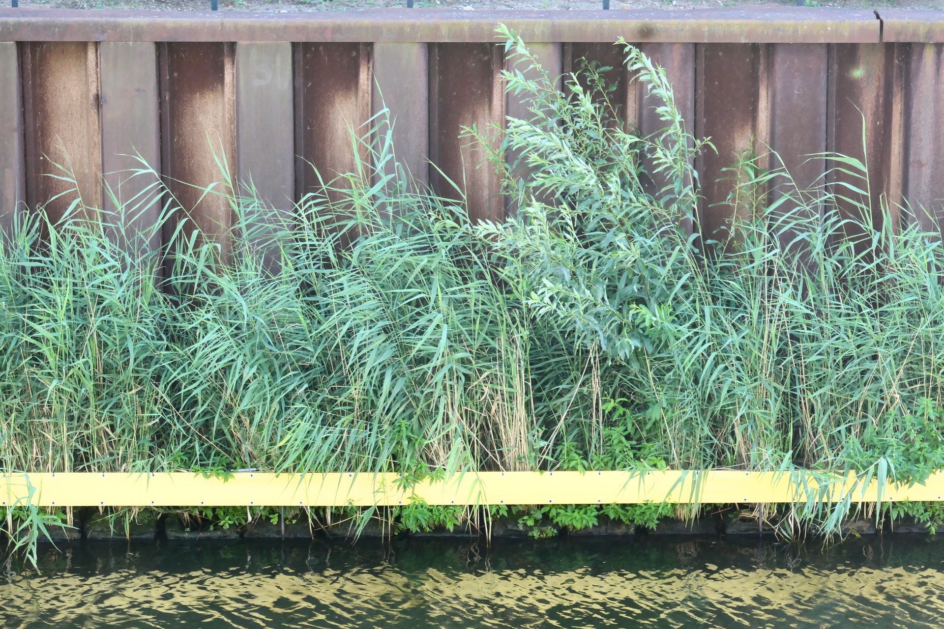 Die Vertical Wetlands im April 2024.